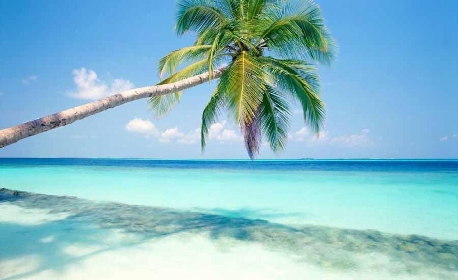 Workation Paradise Gated, Wifi 500mb, Gym, Pool Playa del Carmen